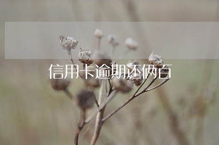 信用卡逾期还俩百