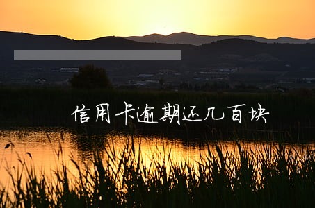 信用卡逾期还几百块 信用卡逾期还几百块