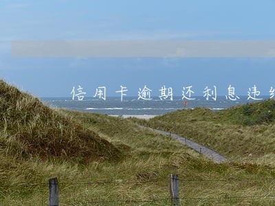信用卡逾期还利息违约金怎么处理 信用卡逾期还利息违约金怎么处理