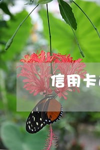 信用卡逾期还剩300多没还 信用卡逾期还剩300多没还