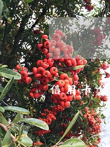 信用卡逾期还卡了0额度 信用卡逾期还卡了0额度