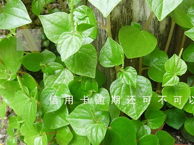 信用卡逾期还可不可以办信用卡