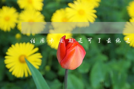 信用卡逾期还可了最低还款