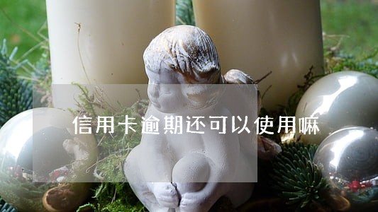 信用卡逾期还可以使用嘛