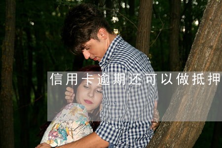 信用卡逾期还可以做抵押吗