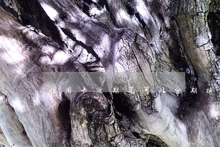 信用卡逾期还可以分期换吗 信用卡逾期还可以分期换吗