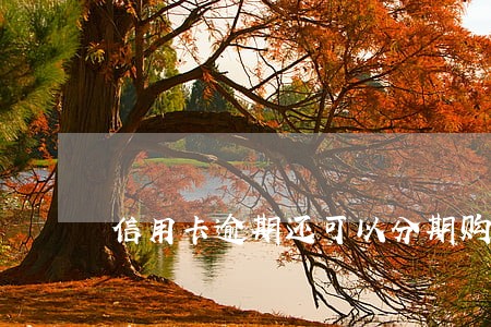 信用卡逾期还可以分期购车吗 信用卡逾期还可以分期购车吗