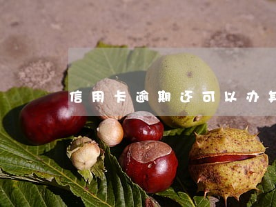 信用卡逾期还可以办其他信用卡吗 信用卡逾期还可以办其他信用卡吗