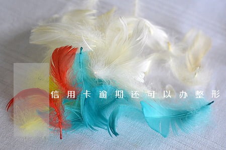 信用卡逾期还可以办整形贷款吗