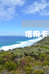 信用卡逾期还可以办理储蓄卡