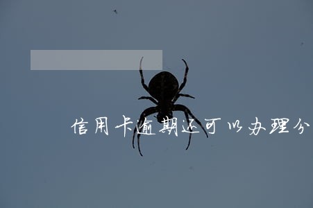信用卡逾期还可以办理分期车吗 信用卡逾期还可以办理分期车吗