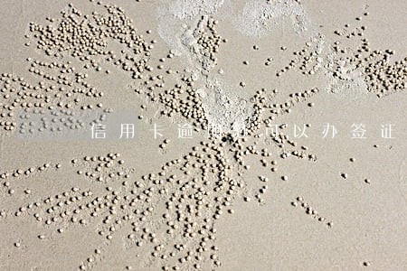 信用卡逾期还可以办签证吗