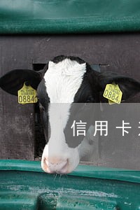 信用卡逾期还可以办车贷吗 信用卡逾期还可以办车贷吗