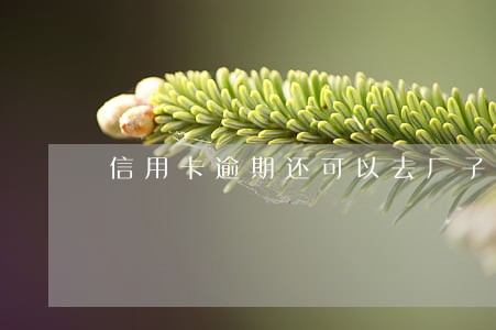 信用卡逾期还可以去厂子上班吗