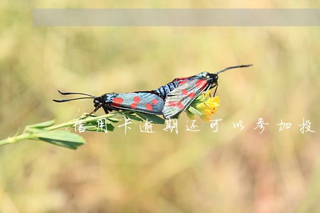 信用卡逾期还可以参加投标吗 信用卡逾期还可以参加投标吗