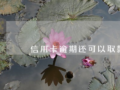 信用卡逾期还可以取款吗 信用卡逾期还可以取款吗