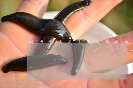 信用卡逾期还可以取现吗