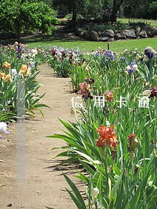 信用卡逾期还可以垫资吗 信用卡逾期还可以垫资吗