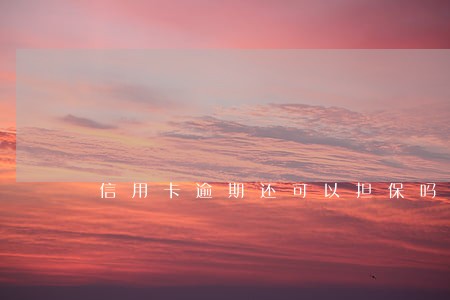 信用卡逾期还可以担保吗 信用卡逾期还可以担保吗