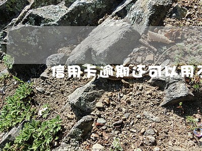 信用卡逾期还可以用不 信用卡逾期还可以用不