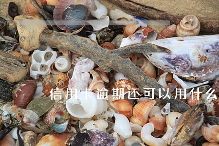 信用卡逾期还可以用什么借钱 信用卡逾期还可以用什么借钱