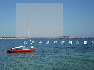 信用卡逾期还可以用别的银行卡吗 信用卡逾期还可以用别的银行卡吗
