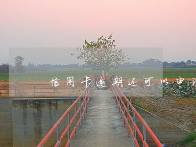信用卡逾期还可以申请 信用卡逾期还可以申请