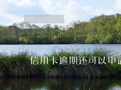 信用卡逾期还可以申请分期还款吗 信用卡逾期还可以申请分期还款吗