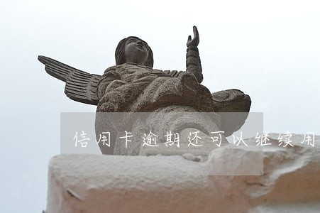 信用卡逾期还可以继续用吗 信用卡逾期还可以继续用吗