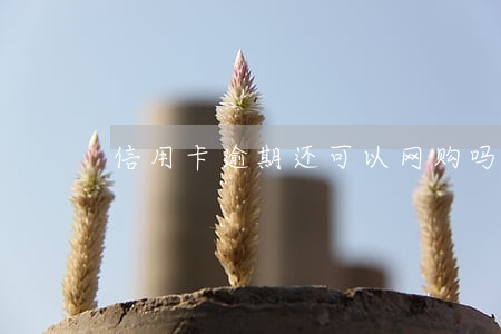 信用卡逾期还可以网购吗 信用卡逾期还可以网购吗