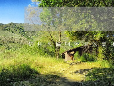信用卡逾期还可以美团借钱吗 信用卡逾期还可以美团借钱吗