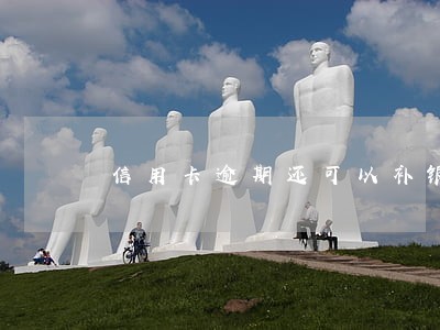 信用卡逾期还可以补银行卡吗 信用卡逾期还可以补银行卡吗