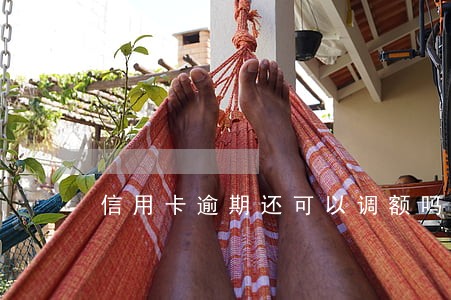 信用卡逾期还可以调额吗 信用卡逾期还可以调额吗