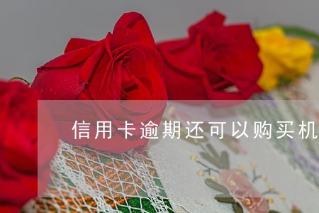 信用卡逾期还可以购买机票吗