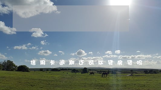 信用卡逾期还可以贷房贷吗 信用卡逾期还可以贷房贷吗