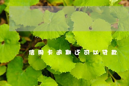 信用卡逾期还可以贷款 信用卡逾期还可以贷款