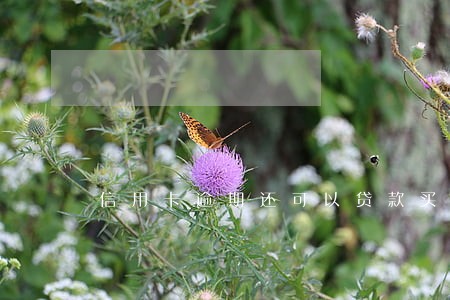 信用卡逾期还可以贷款买房么 信用卡逾期还可以贷款买房么