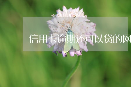 信用卡逾期还可以贷的网贷