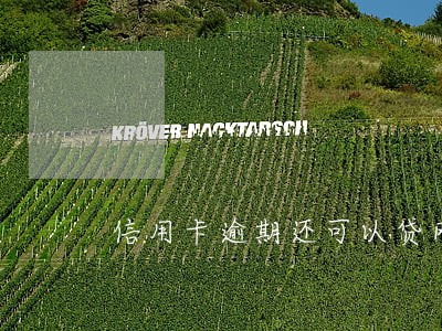 信用卡逾期还可以贷网贷吗 信用卡逾期还可以贷网贷吗