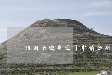 信用卡逾期还可申请分期吗 信用卡逾期还可申请分期吗