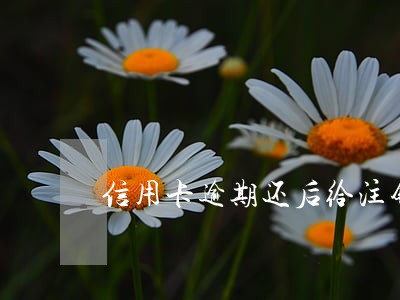 信用卡逾期还后给注销了怎么办 信用卡逾期还后给注销了怎么办