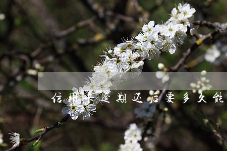 信用卡逾期还后要多久能贷款 信用卡逾期还后要多久能贷款