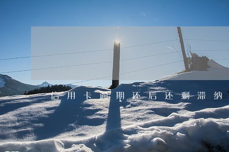 信用卡逾期还后还剩滞纳金 信用卡逾期还后还剩滞纳金