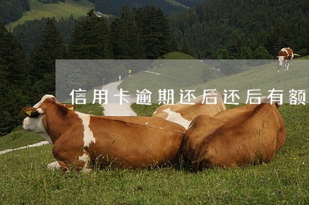 信用卡逾期还后还后有额度