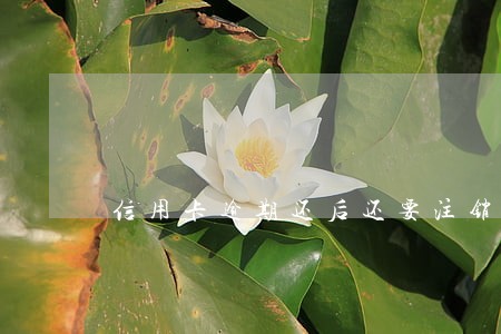 信用卡逾期还后还要注销吗 信用卡逾期还后还要注销吗