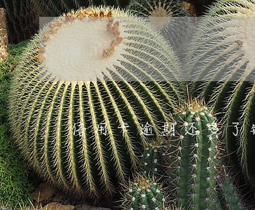信用卡逾期还多了钱怎么办 信用卡逾期还多了钱怎么办