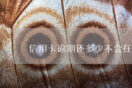 信用卡逾期还多少不会在催收 信用卡逾期还多少不会在催收