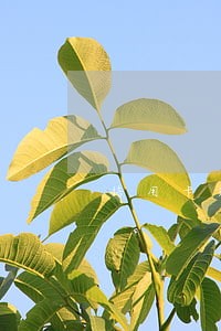 信用卡逾期还多的还是少的 信用卡逾期还多的还是少的