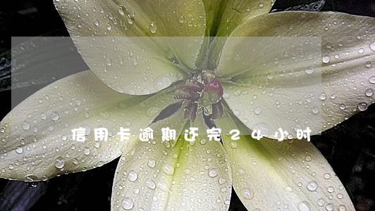 信用卡逾期还完24小时 信用卡逾期还完24小时