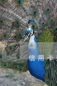 信用卡逾期还完一年后 信用卡逾期还完一年后